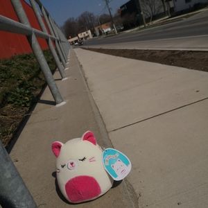 Squishmallow - Carmen 🐱💕